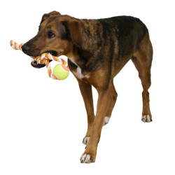 Kerbl zabawka dla psa, piłka na lince 37cm [80795]
