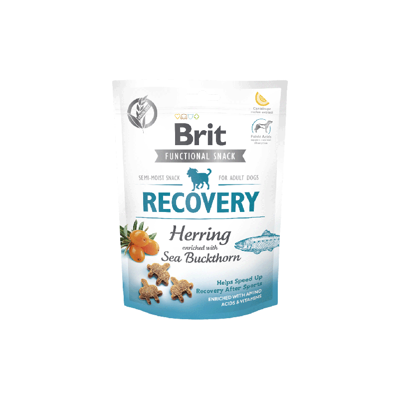 Brit care dog functional snack recovery herring & sea buckthorn 150g