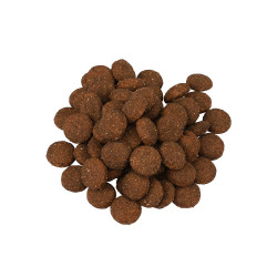 Fitmin dog for life beef & rice 12kg
