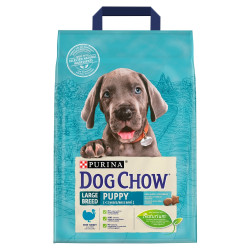 Purina dog chow puppy large breed indyk 2,5kg